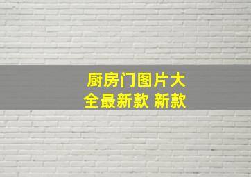 厨房门图片大全最新款 新款